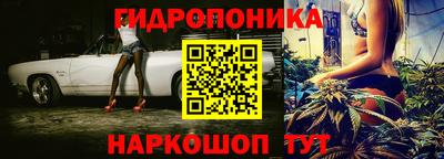 прущие грибы Нальчик