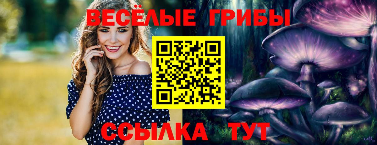 Галлюциногенные грибы мухоморы  как найти   Тосно  Вход с VPN  Псилоцибиновые грибы ЛСД 